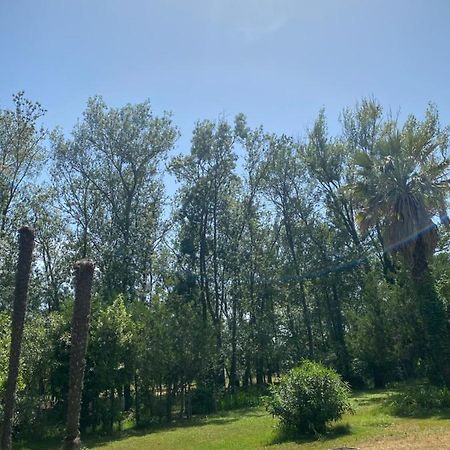 Chalet En Pleine Nature La Roquette-sur-Siagne ภายนอก รูปภาพ