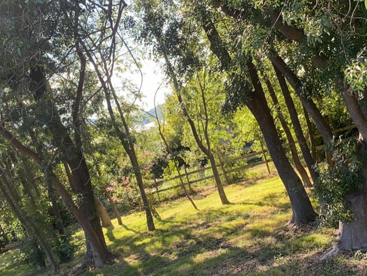 Chalet En Pleine Nature La Roquette-sur-Siagne ภายนอก รูปภาพ